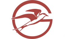 Custom Logo